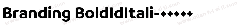 Branding BoldIdItali字体转换